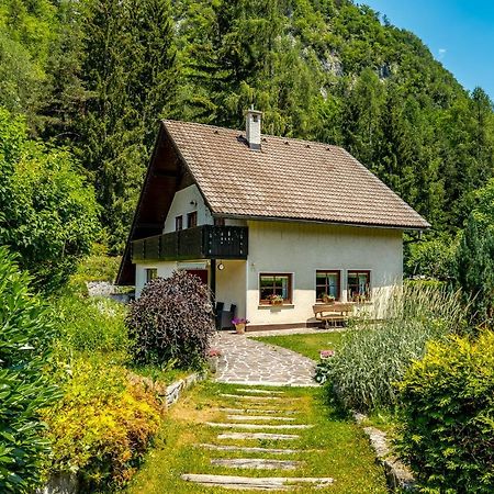 Vila Hisa Nasproti Sonca Kranjska Gora Exteriér fotografie